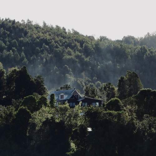 Photo #12981435