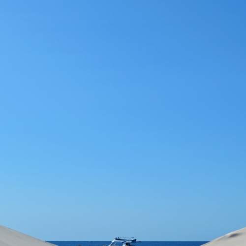 Photo #12981613