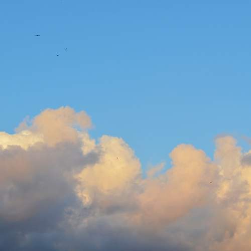 Photo #12981614