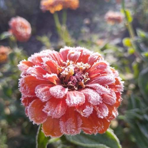 Photo #12981731