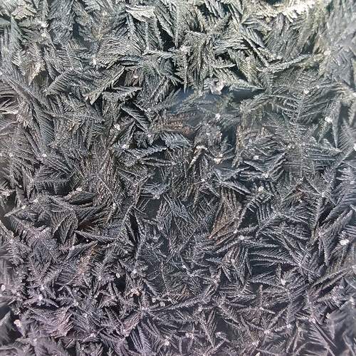 Photo #12981733