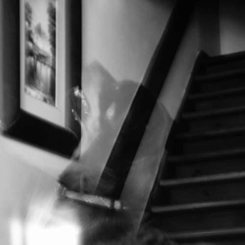 Photo #12981812