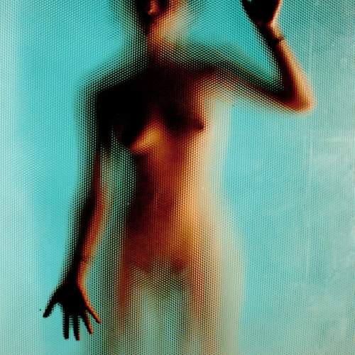 Photo #12981831