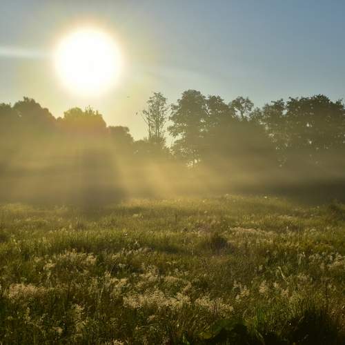 Photo #12981841