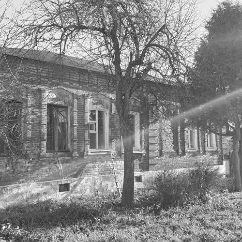 Фотография #12982092