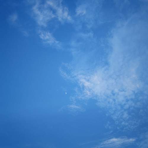 Photo #12982099