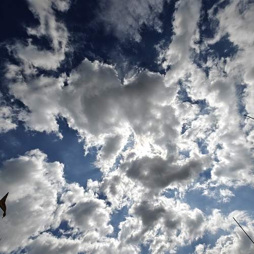 Photo #12982113