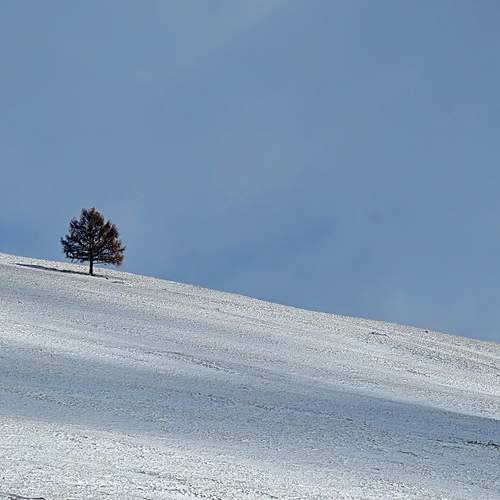 Photo #12982184