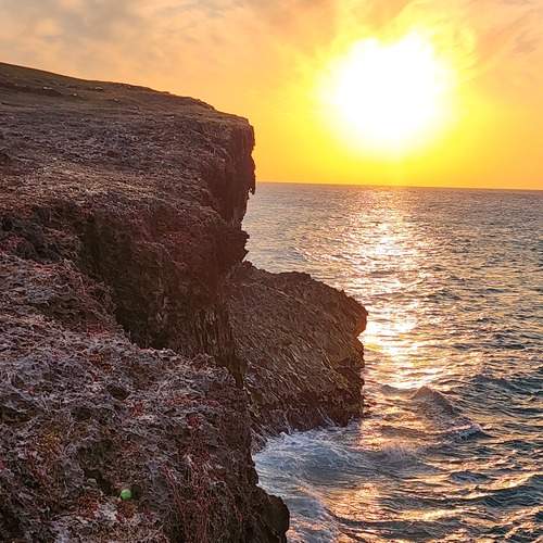 Photo #12982529