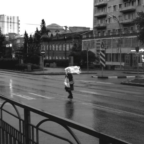 Photo #12982600