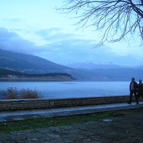 Photo #12982736
