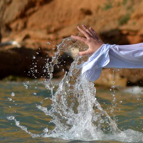 Photo #12982754