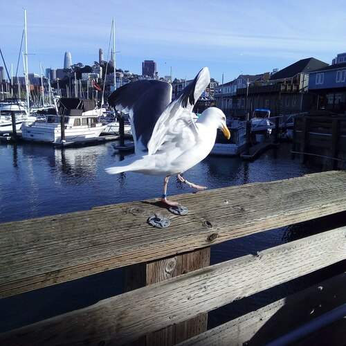 Photo #12982972