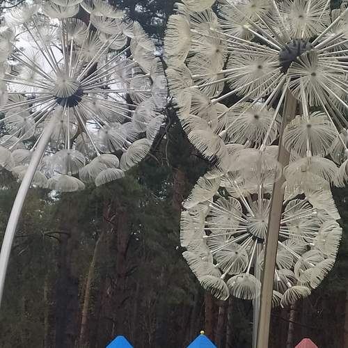 Photo #12983007