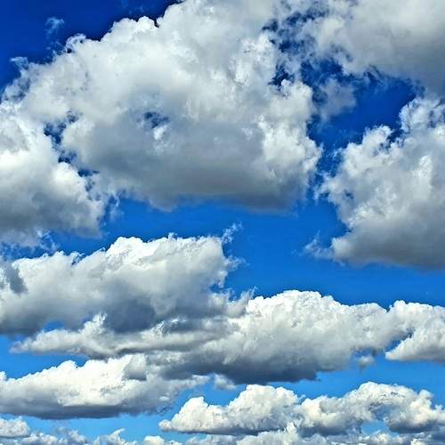 Photo #12983189