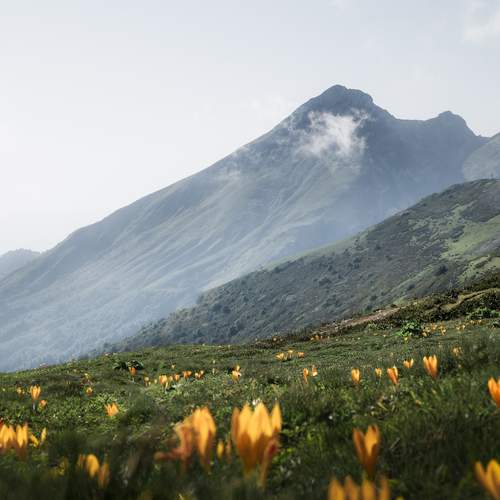 Photo #12983262