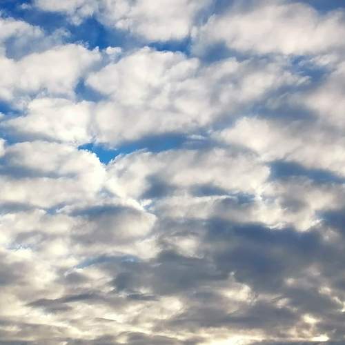 Photo #12983483