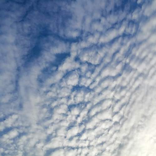 Photo #12983484