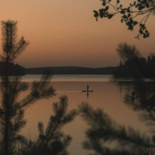 Photo #12983499
