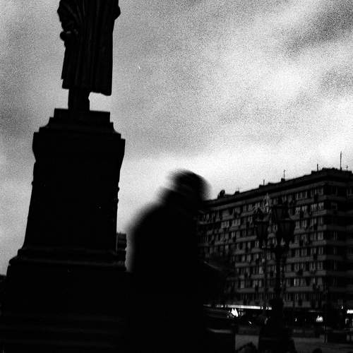 Photo #12983624