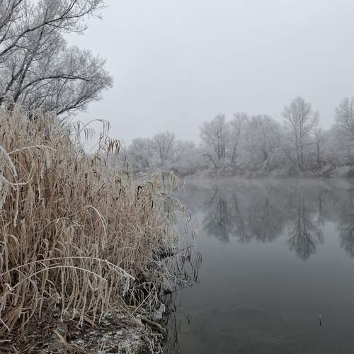 Photo #12983890