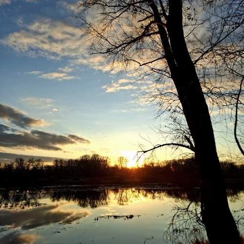 Photo #12983897