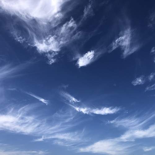 Photo #12983948