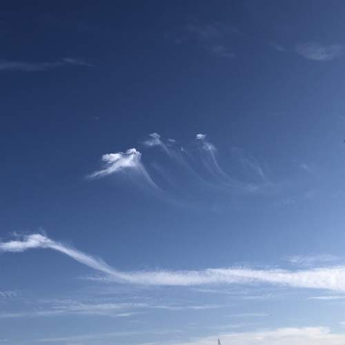 Photo #12983949
