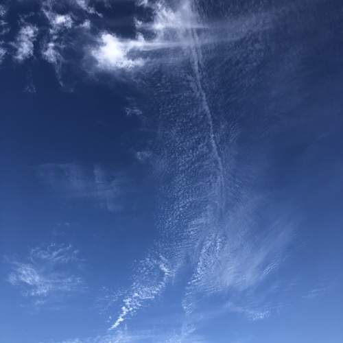 Photo #12983950