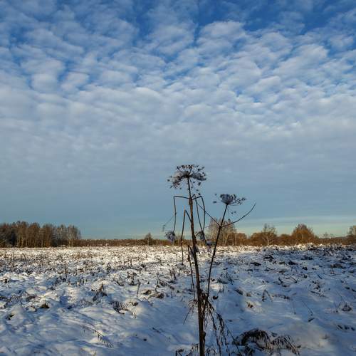 Photo #12983975