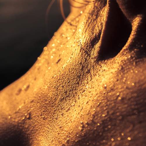 Photo #12984243
