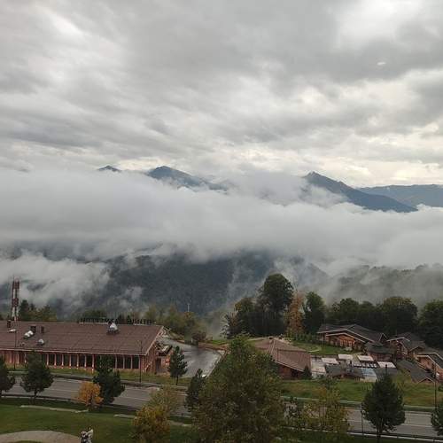 Photo #12984253