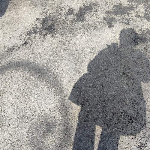 Photo #12984624
