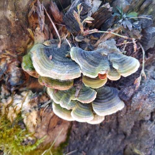 Photo #12984828