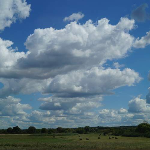 Photo #12984869