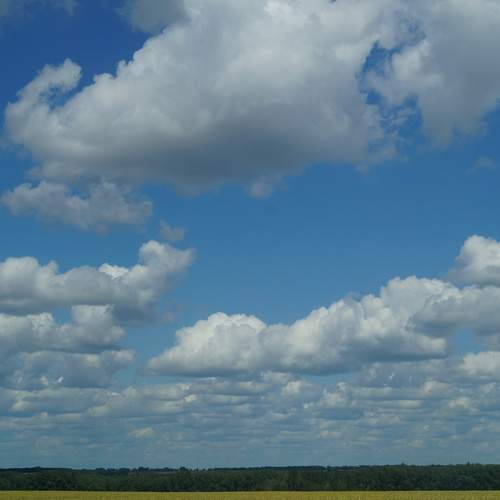 Photo #12984872