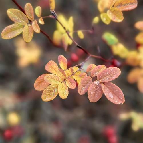 Photo #12985384