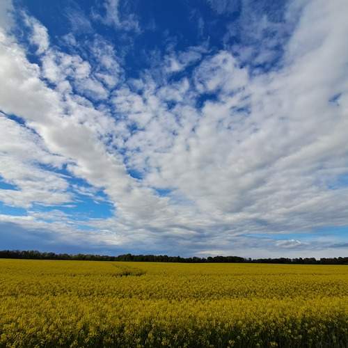 Photo #12985653