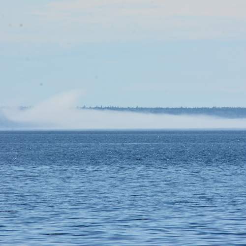 Photo #12985755