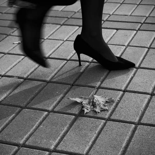 Фотография #12986042