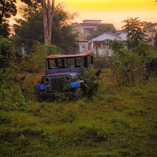 Nature\'s way