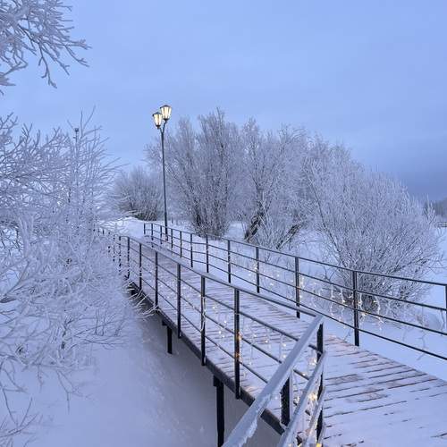 Photo #12986796