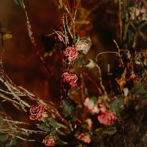 Фотография #12986805