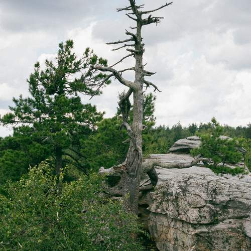 Photo #12987262