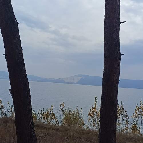 Photo #12987409