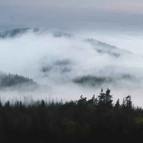 Фотография #12987449