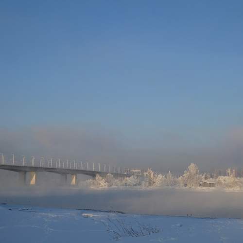 Photo #12987484