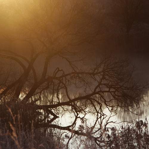 Photo #12987518