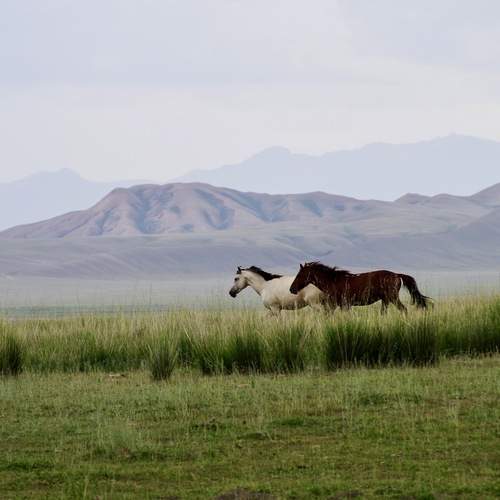 Photo #12987741