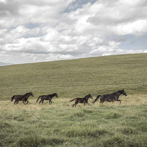 Photo #12987777